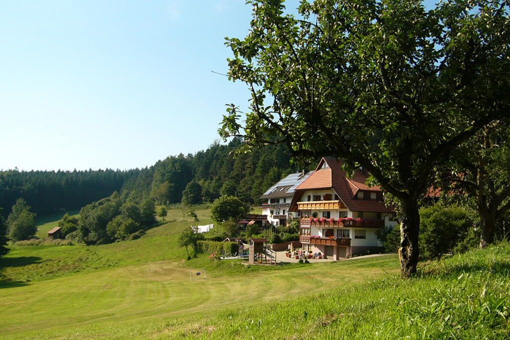 Villa Schlosshof - der Urlaubsbauernhof Elzach Exterior foto